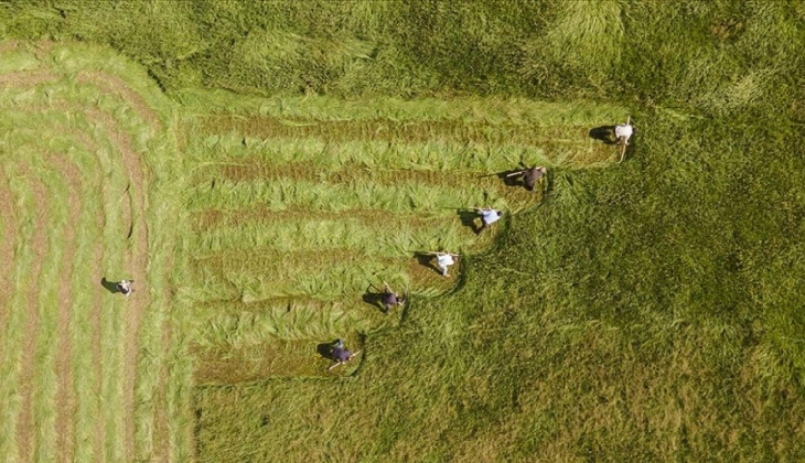 Bakanlık açıkladı! Çiftçilere 87,5 milyon liralık tarımsal destekleme ödemesi yapılacak...
