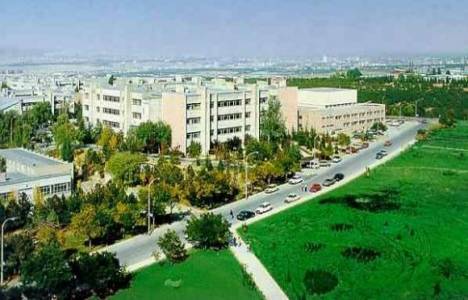 Hacettepe Üniversitesi'nde ağaçlar kesildi!