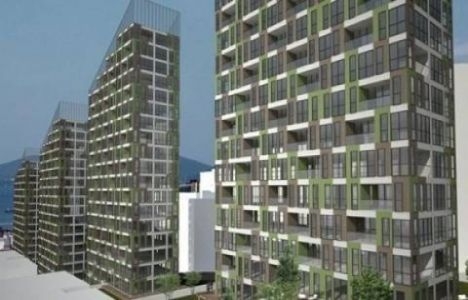 Yeşil Mavi Başıbüyük fiyatları!