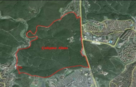 Park Orman Tabiat Parkı projesi için harekete geçildi!