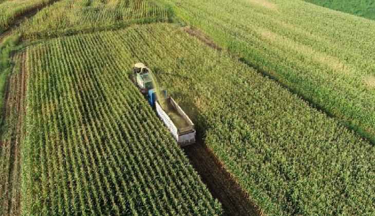 Bakanlık açıkladı! Çiftçiye şubat sonu 200 milyon TL ödenek!