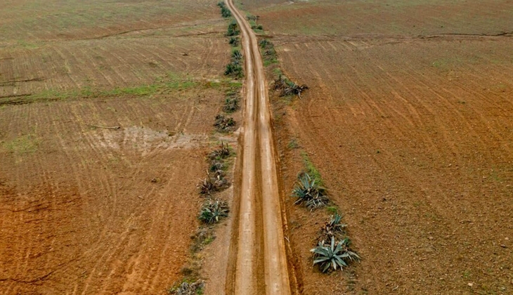 Milli Emlak, 3 ildeki 9 adet arsa ve araziyi satıyor! 19 bin TL den başlayan fiyatlarla... 