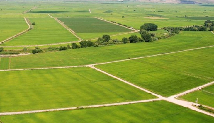 Hisseli arsa satışları üretimin sonunu getirecek! Tarım toprakları tek tek kayboluyor!