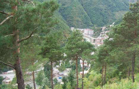 Artvin Borçka Yeniyol'da 2.7 milyon TL'ye satılık arsa!