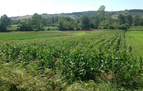 Kadastral yola cephesi olmayan tarlaya nasıl yol alınır?