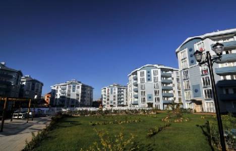 Triad Park resimleri!