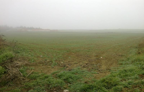 Tekirdağ Velimeşe OSB'de 12 milyon TL'ye satılık arsa!