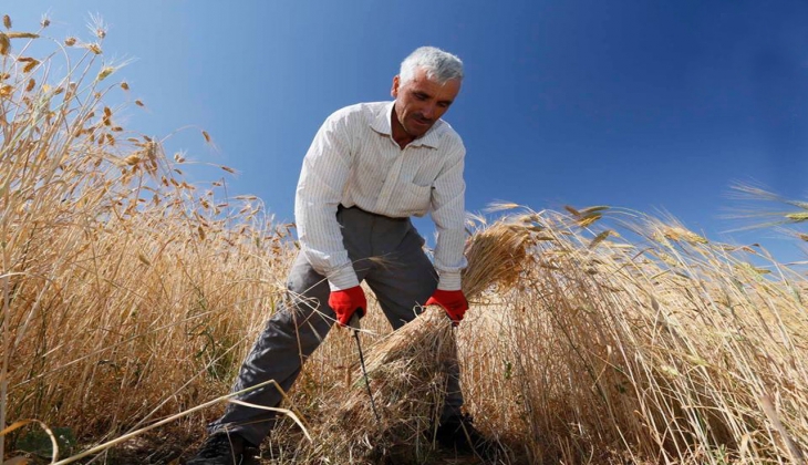 Mazot gübre desteği yattı mı? Ziraat Bankası mazot gübre desteği ne zaman yatacak?