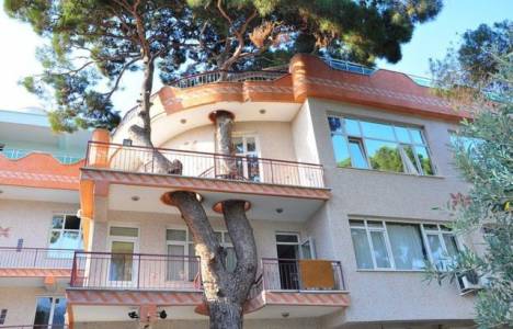 Manisa'da ağacı kesmek yerine binanın projesini değiştirdiler!