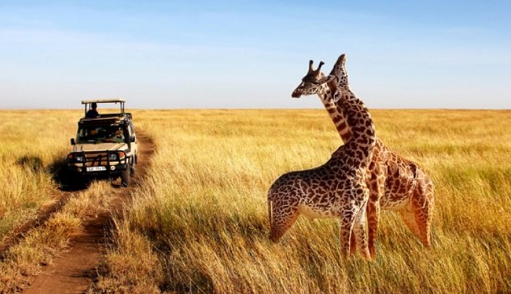 Lüks içinde safari tatili!