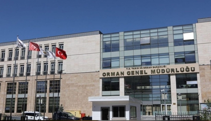 Orman Genel Müdürlüğü tarih verdi! 249 sözleşmeli personel alınacak... Çalışmak isteyenler bu habere baksın