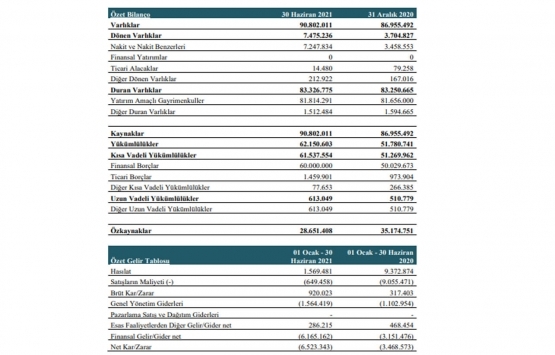 Ata GYO 2021 in ilk yarısında ne kadar hasılat elde etti?