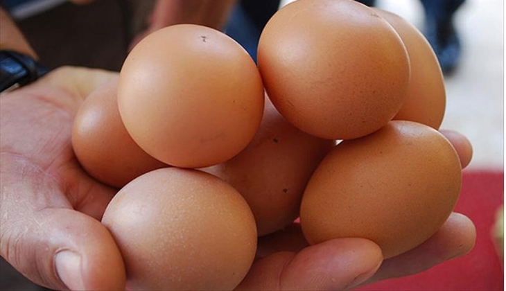 Yumurta fiyatlarına zam kapıda! 1 koli yumurta kaç TL olacak? İşte 11 Nisan 2022 güncel fiyat listesi!
