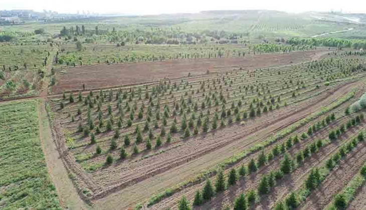 Atatürk Orman Çiftliği nde yapılacak rezidans ve AVM nin imar planları iptal edildi! 