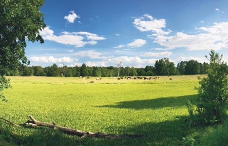 Arsa tapu işlemleri nasıl yapılır?