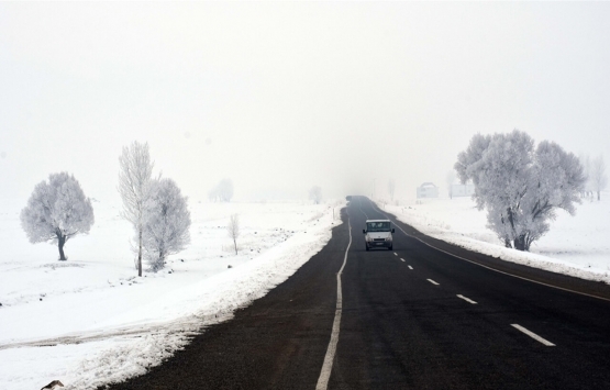 Muş ta 50.4 milyon TL ye satılık 2 gayrimenkul!