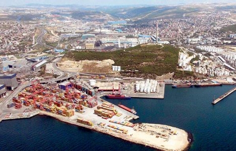 Dilovası'nda kimyasal depo için ağaç kesimi durduruldu!