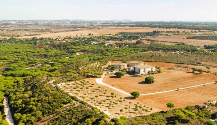 İki şehirde 31 arsa ve 1 iş yeri satılıyor! 380 bin TL’den başlayan fiyatlarla…