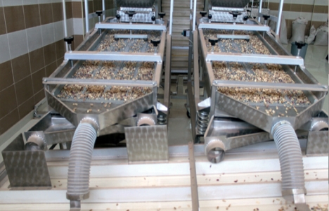 Gaziantep'e fıstık işleme tesisi kurulacak!