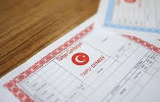 Arsasını satmaya gitti, hayatının şokunu yaşadı!