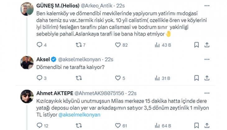 Uzmanından Milas ta gayrimenkul yatırımı açıklaması: Gelecek yıllarda daha da değerlenecek!
