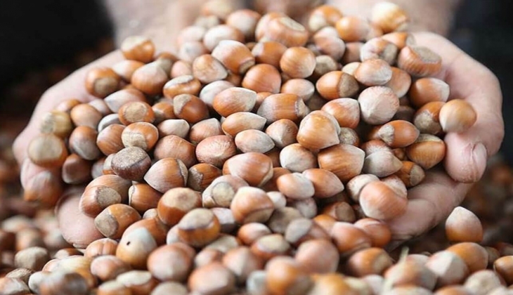 Fındık fiyatlarında flaş gelişme! Fındık alım fiyatı açıklandı mı? Bugün fındık kaç lira? 29 Temmuz 2022 fiyat listesi..