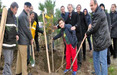 büyükçekmece alkent mahallesi