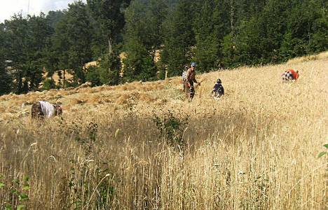 Arazi dağıtımı projesi!