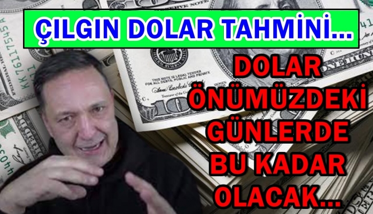 Ekonomist Selçuk Geçer çılgın dolar tahminini açıkladı! Doları tutana aşk olsun! Dolar bu kadar olacak