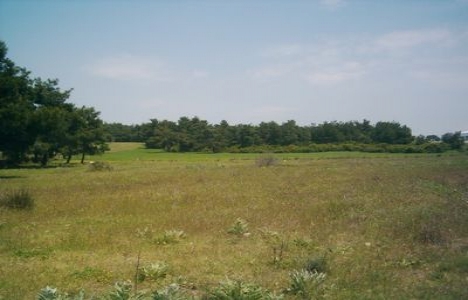 Organize sanayi bölgesinde arsa tahsisi!