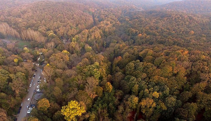 Türkiye deki toplam orman alanı 2023 te 23 milyon 245 bin hektar oldu! İşte Türkiye nin en yeşil kenti