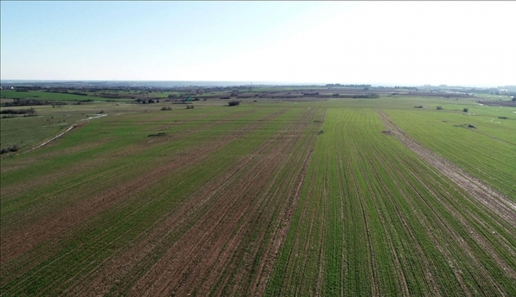 Şanlıurfa, Antalya ve Ankara da 9 adet arsa satılacak!