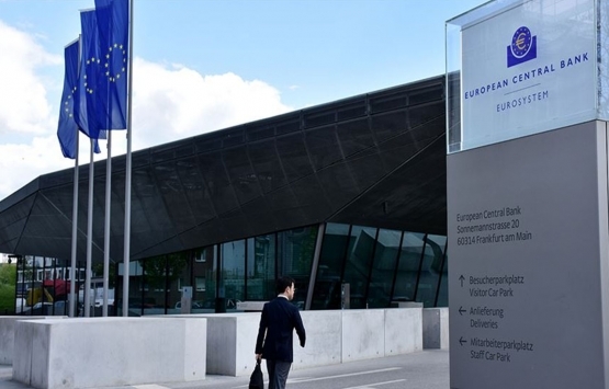 ECB anketi: Ekonomide toparlanma yavaş ve kademeli olacak!