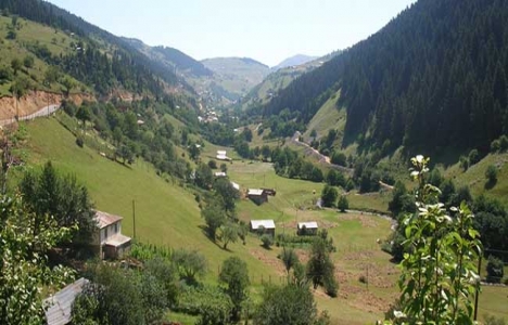 giresun kümbet yaylası