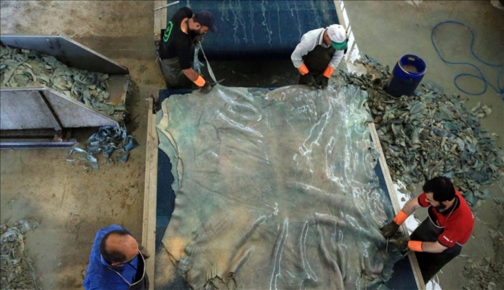 Kurban derisinden ekonomiye 5 milyar liralık katkı!