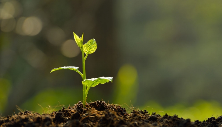 Gübre fiyatlarına dev indirim! Çiftçiler bu habere bayram edecek