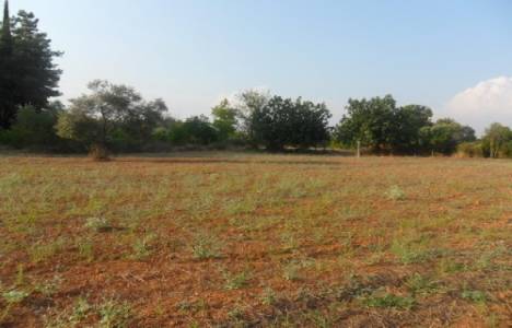 Yeşilbayır'da belediyeden 8 milyon 400 bin TL'ye 2 konut alanı!