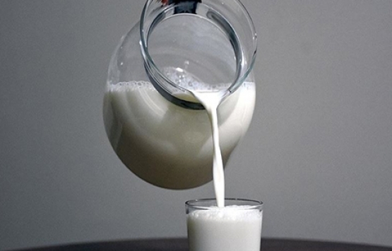 Kamil Özcan: Süt üreticileri azalıyor!