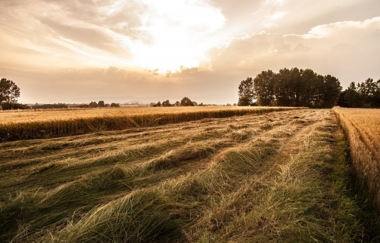 mardin satılık arsa