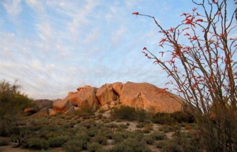 Arizona’daki taş devri evi 4,2 milyon dolara satılıyor!