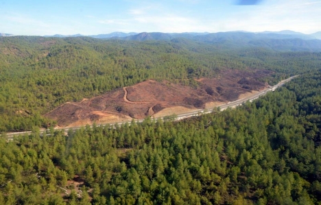 Yanan ormanlık alanların imara açılmaması için kanun teklifi verildi!