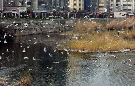 Vatandaşlar Basmane'deki utanç çukurunun bataklığa dönüşmesine tepki gösterdi!