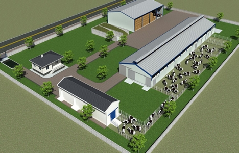 Konya Büyükşehir, Hayvancılık Tesisi Tip projeleri hazırladı!