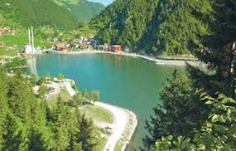 Ordu'yu 'Yaylalara Teleferik' projesi gelişitirecek!