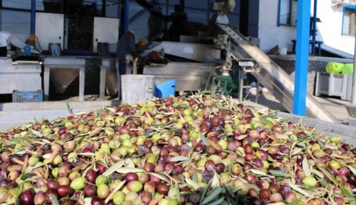 Bu sektörde çalışmak ister isiniz! Aylık 24 bin günlük 3 bin TL ye iş imkanı veriliyor