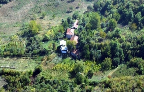 Yeniden orman olarak ihdas edilecek yerler nerelerdir?