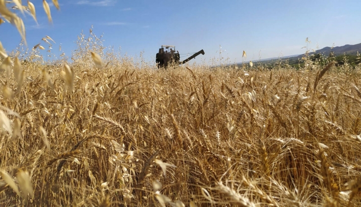 Tahıl koridorunda sevkiyat tam gaz! Buğday, arpa, mısır fiyatları yeni haftada arttı mı? 12 Eylül 2022 fiyat listesi..