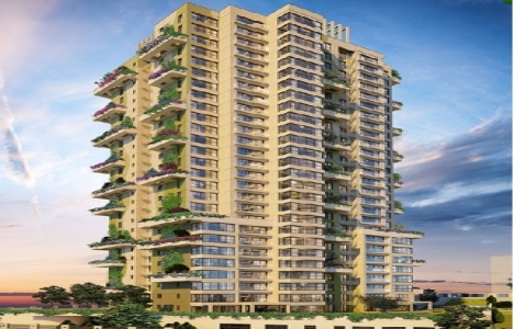 Sinpaş Gökorman proje görselleri!