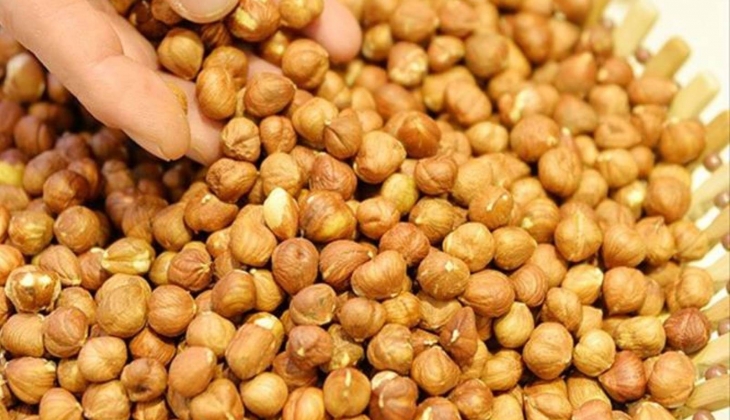 Serbest piyasa fındık fiyatları: Ordu, Samsun fındık fiyatı ne kadar oldu? 26 Haziran 2024 il il fındık fiyatları!