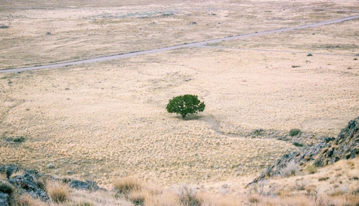 Milii Emlak iki şehire 8 bin TL den başlayan fiyatlarla arsa ve arazi satıyor! Yüzde 20 indirimle Kasım fırsatı!